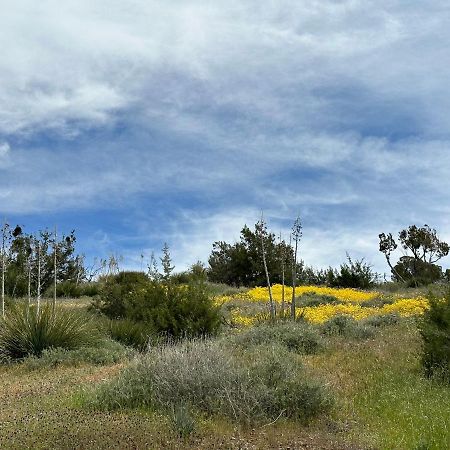 Breathtaking Cabin In Kern River Valley Lake Isabella Buitenkant foto