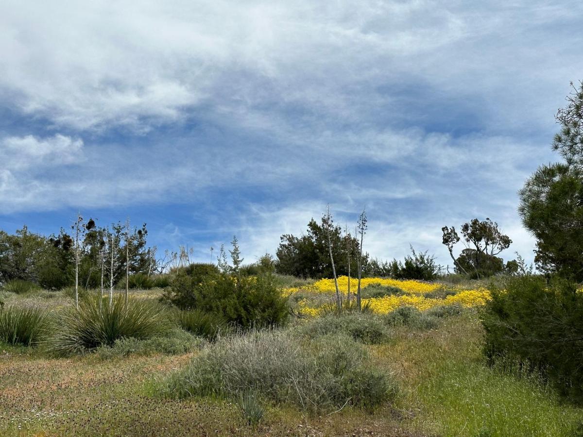 Breathtaking Cabin In Kern River Valley Lake Isabella Buitenkant foto